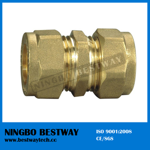 Female Brass Pipe Fittings Fast Supplier (BW-502)