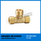 Branch Pipe and Fitting (BW-644)