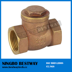 Female Thread Brass Check Valve with High Quality (BW-C04)