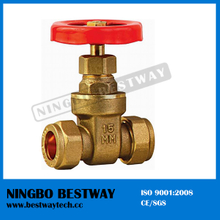 200wog Forged Brass Gate Valve with Prices (BW-G11)