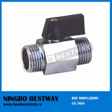 Best Quality Brass Isolating Valve at Reasonable Price (BW-B103)