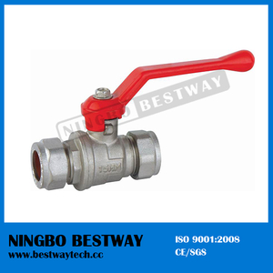 High Qality Brass Ball Valve with Pipe Fitting (BW-B40)
