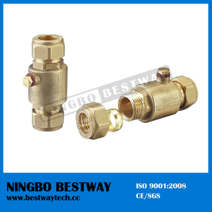Ningbo Bestway Brass Check Valve with Strainer (BW-C12)