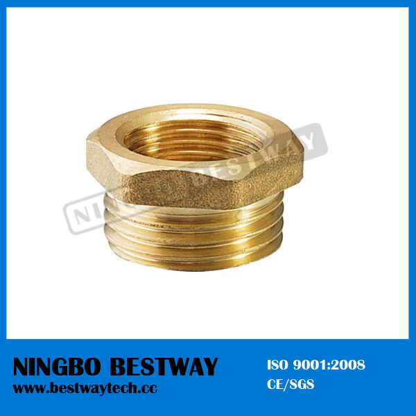 Brass Fitting for PE Pipe Fast Supplier (BW-631)