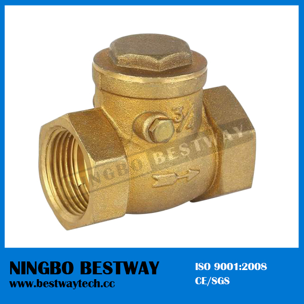 High Performance Brass Check Valve in China Hot Sale (BW-C01