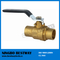 Manufacture Hot Selling Brass Welded Ball Valve (BW-B02)