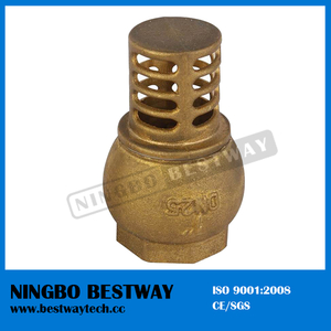 China Brass Foot Check Valve Direct Factory (BW-C08)