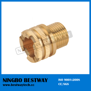 High Quality Hexagon Brass PPR Fitting (BW-726)