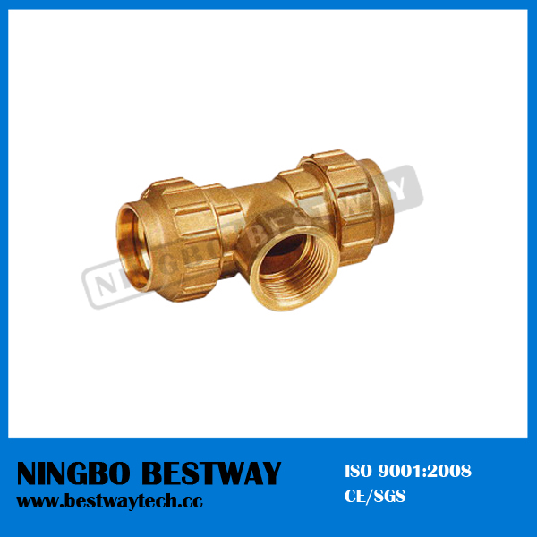 Best Perfomance Brass Compression Pipe Fitting (BW-307)