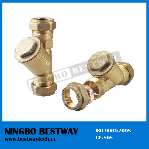 High Quality Brass Y Strainer at Reasonable Price (BW-C11)