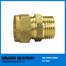 Brass Male and Female Pipe Fitting (BW-503)