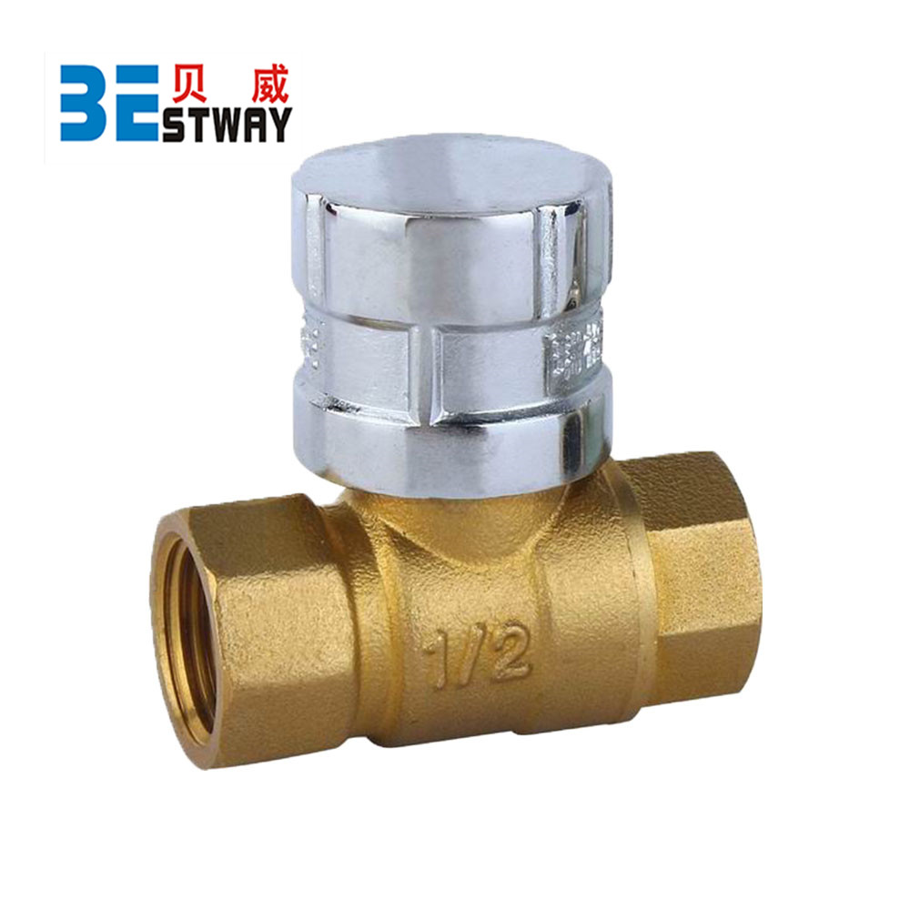 China Ningbo Bestway Brass Magnetic Lcokable Valve (BW-L20)