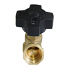 Brass Balance Valve Static Balance Valve with Two Relief